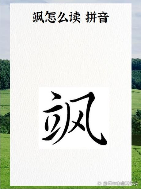 飒飒怎么读：探索汉字的音韵之美