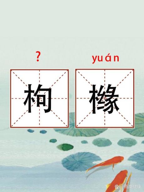 岚怎么读