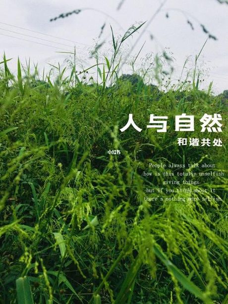 原生态：自然与人文的和谐共存