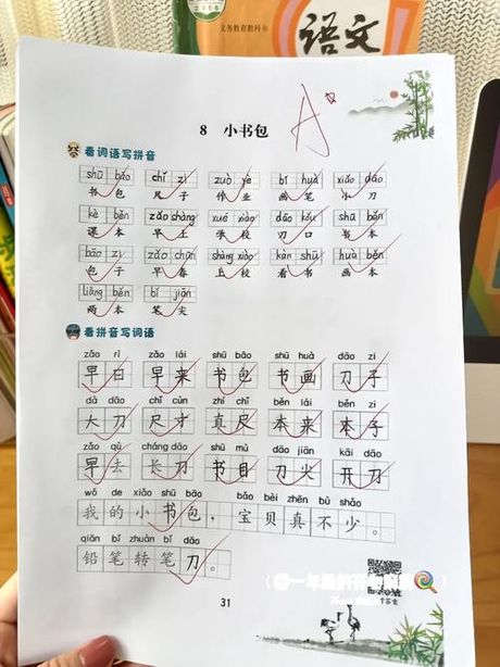 写字的拼音怎么写：汉字与拼音的奥秘
