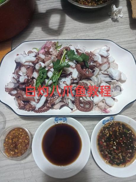 如何清洗小八爪鱼