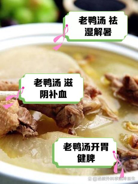 老鸭汤怎么炖好喝