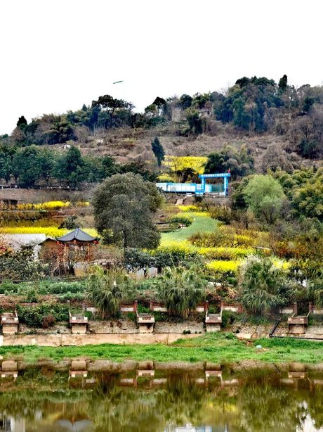 青白江杏花村:自然与文化的完美融合