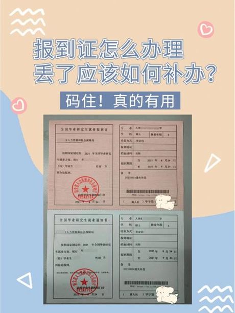 报到证怎么报到：新手指南
