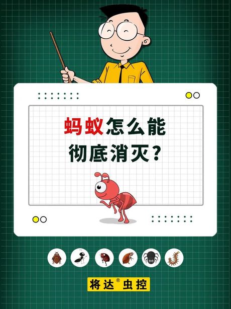 小红蚂蚁的消灭方法