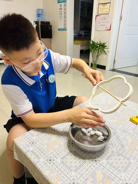蚕茧抽丝：传统技艺在家实践