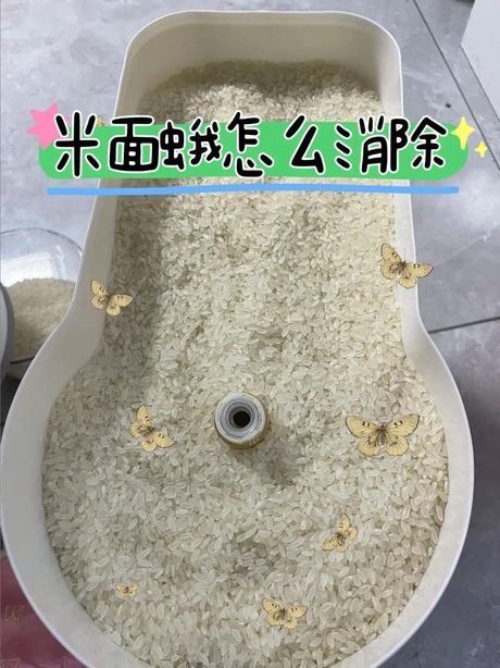 消灭蛾子的方法