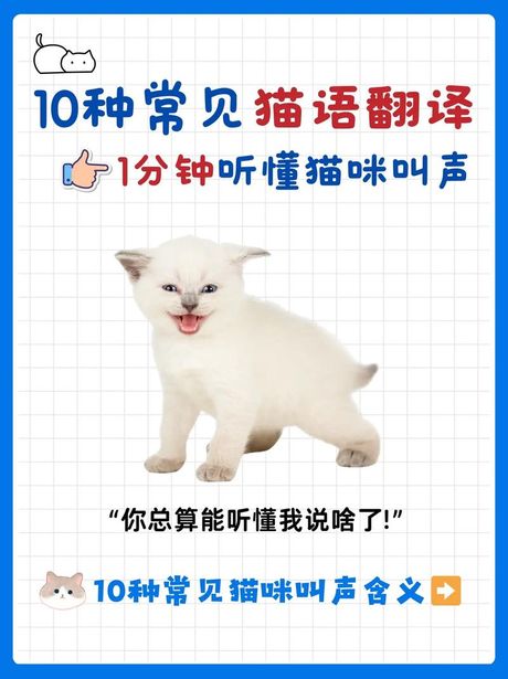 蝥的读音和含义