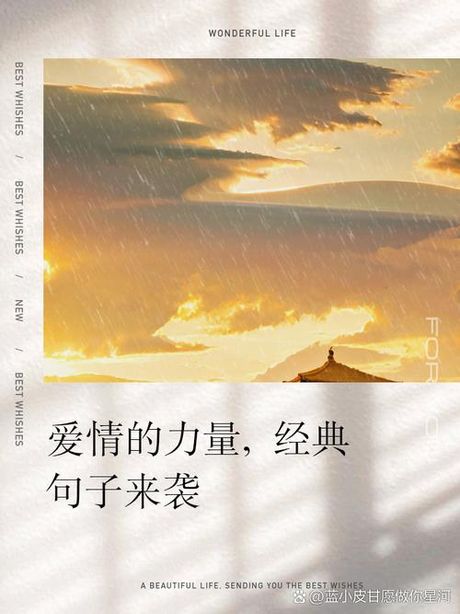 挚爱的意义与力量