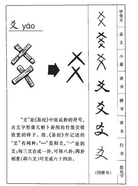 探索“爻”字的奥秘：读音、起源与意义