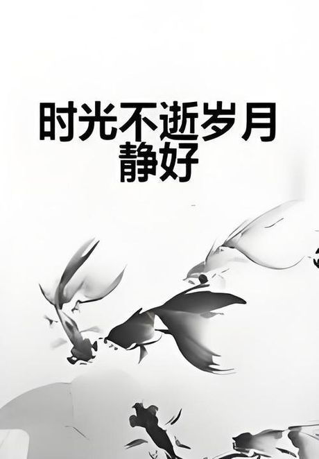 时光不老岁月静好的意思