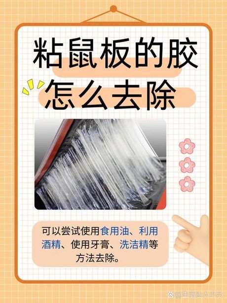 粘老鼠的胶怎么洗掉，如何有效清洗粘老鼠的胶