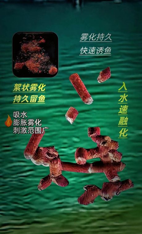 为什么蚯蚓钓不到大鱼