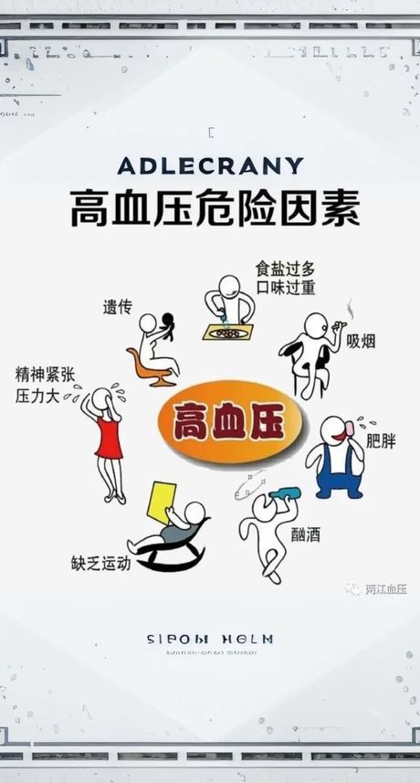 血压高压高的原因