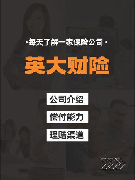 英大保险概述