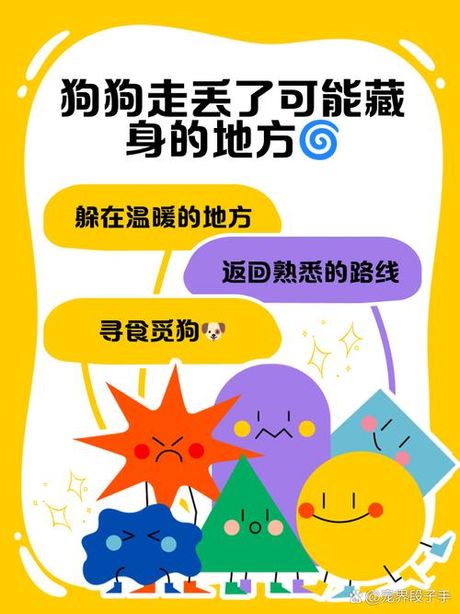 狗狗丢了一般会躲哪里，狗狗走丢后常躲藏的六个地方