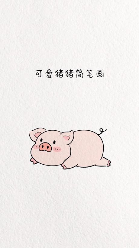 怎么画小猪好看又简单