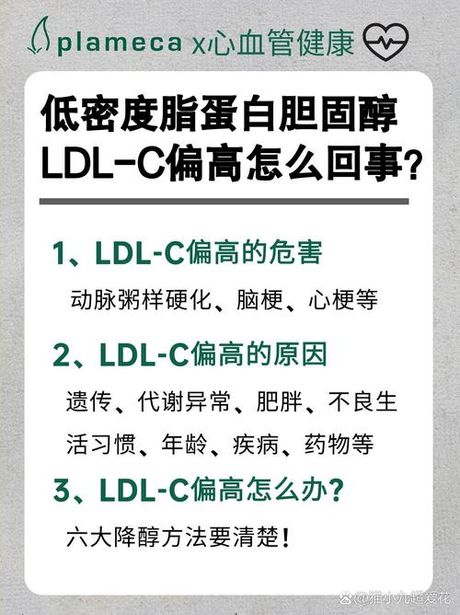 低密度脂蛋白高是怎么回事