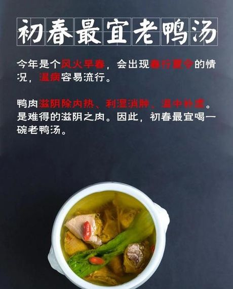 鸭架汤怎么炖好喝，鸭架汤炖制技法与营养解析