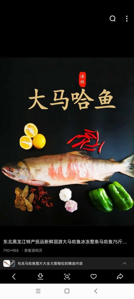 大马哈鱼的美味烹饪方法