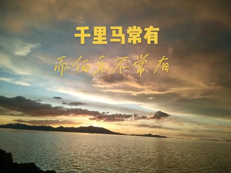 伯乐的现代意思