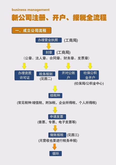 报税指南：轻松了解报税流程