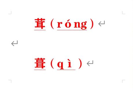 茸的读音之谜