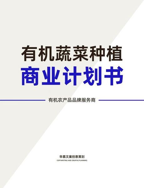 蔬菜生意的起步指南