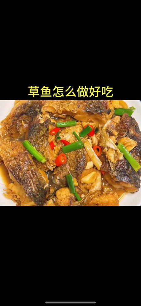 大草鱼的美味烹饪方法