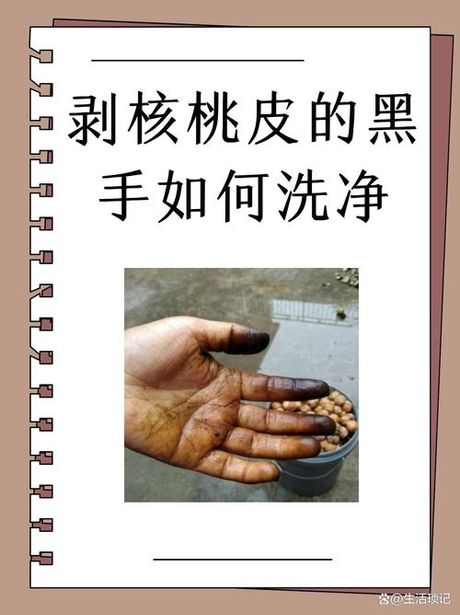 剥核桃手黑怎么洗干净