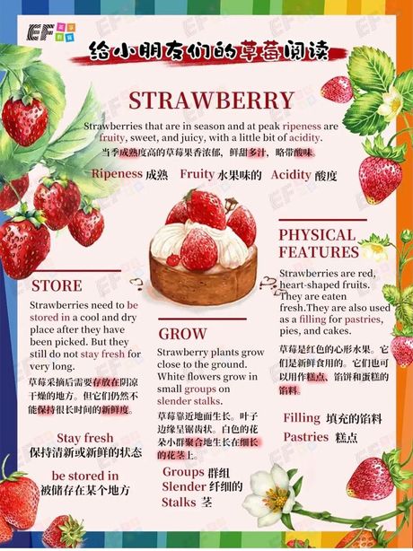 草莓的英文名称：Strawberry