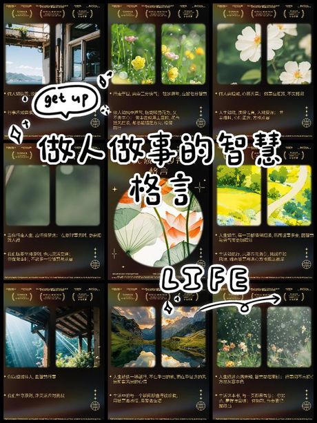 顺势而为：智慧与责任的行动指南