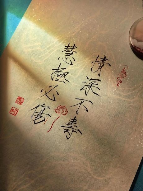 情深不寿：情感深度与寿命关系的探讨