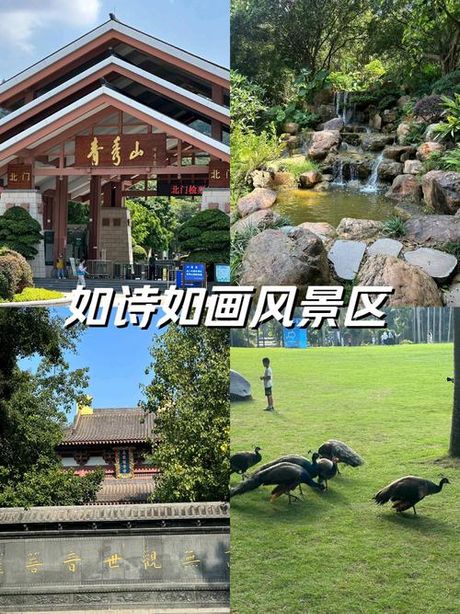 钟灵毓秀：自然与人文的完美融合