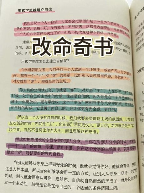 悟性：理解与洞察的奥秘