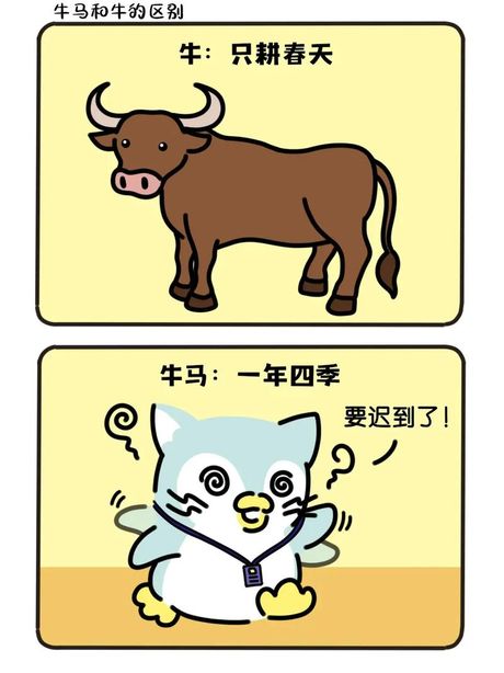 牛马啥意思是什么梗