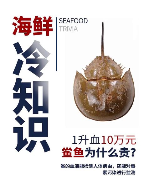 鲎鱼的食用方法