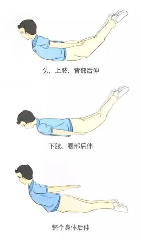 飞燕式锻炼：提升腰背肌力量的有效方法