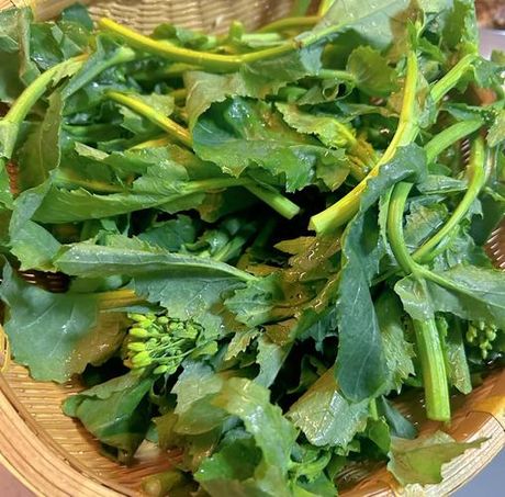 油菜花怎么吃，油菜花的食用方法