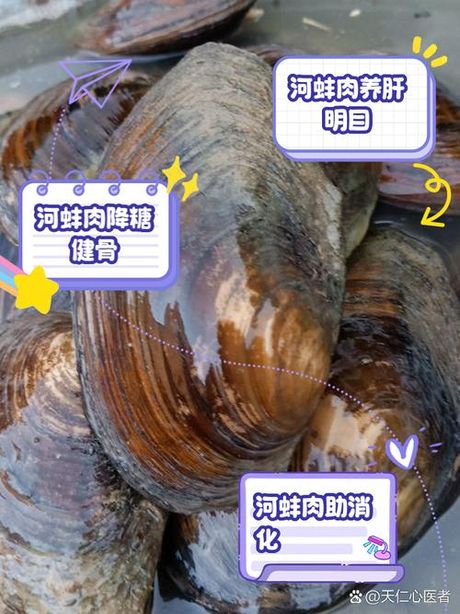 河蚌肉怎么做才能烂，河蚌肉的烹饪技巧：如何让河蚌肉变得柔软