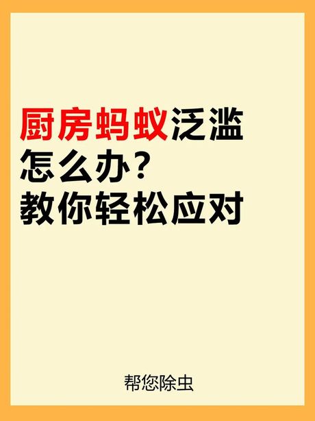厨房有蚂蚁怎么除根，厨房蚂蚁问题及解决方法