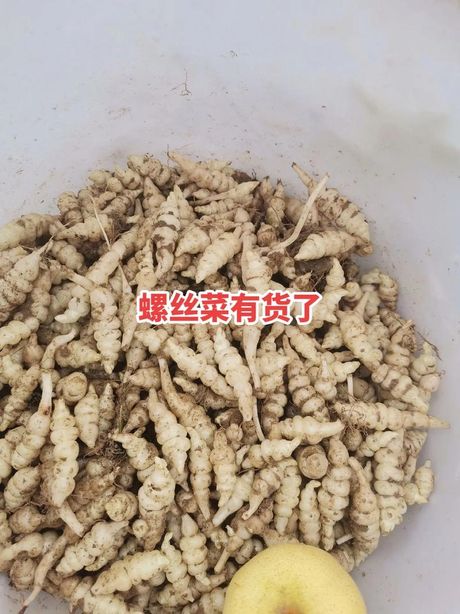 糖醋螺丝菜的腌制方法