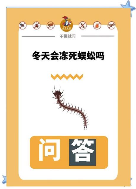 家里有蜈蚣怎么办