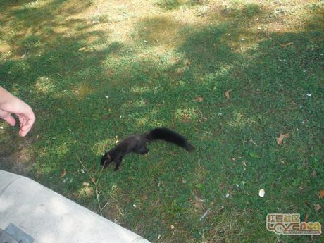 奥特曼的新篇章:《欧米茄奥特曼》