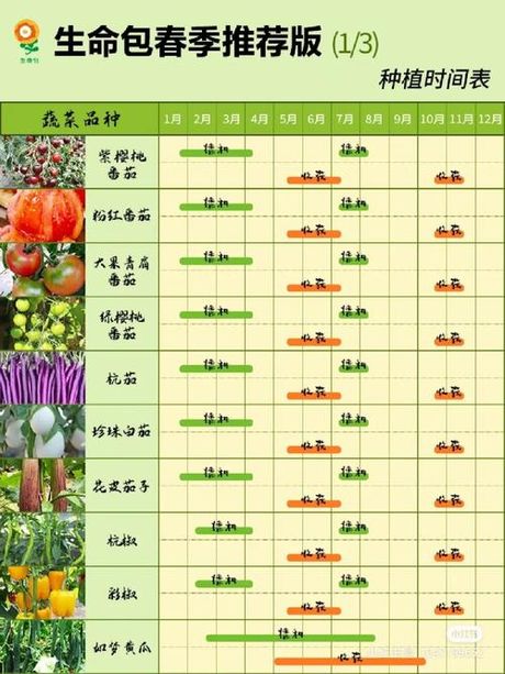 家庭种菜40种方法