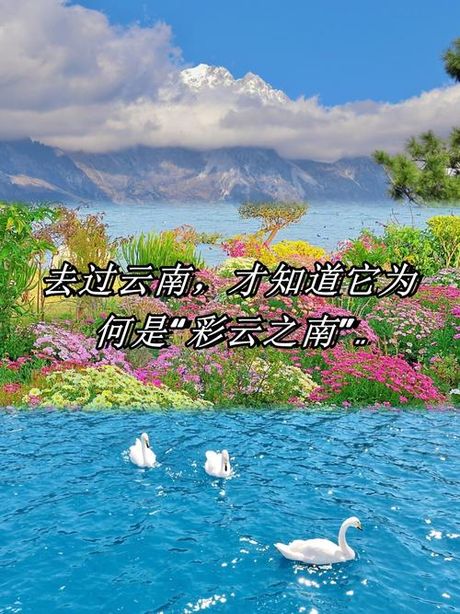 云南旅游攻略：探寻彩云之南的美丽风光