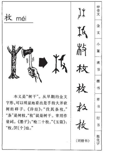 枚怎么读，汉字“枚”的读音与释义