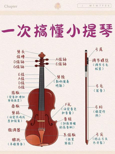 学习小提琴：需要多长时间才能掌握？