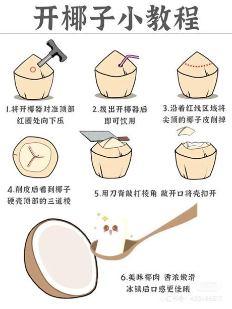 轻松开启椰子：开椰子器的使用指南