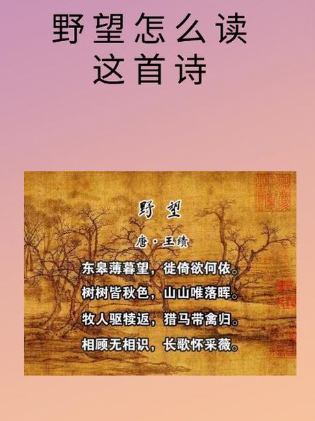 东皋薄暮望怎么读，东皋薄暮望读音解析